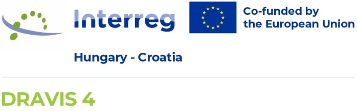 DRAVIS4 official logo 1