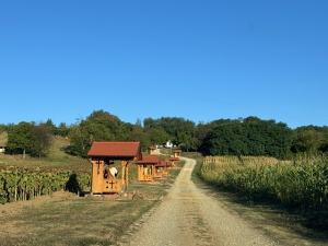 Najava: Duhovna priprema i svečani blagoslov kompleksa &ldquo;Podravski Jeruzalem&rdquo; u Čepelovcu
