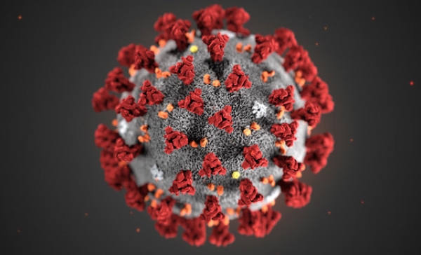Na području županije zabilježeno šest novih slučaja zaraze koronavirusom