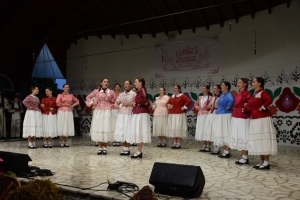 Župan Golubić i zamjenik Rajn na otvorenju festivala &bdquo;Kaj su jeli na&scaron;i stari&ldquo; u Vrbovcu