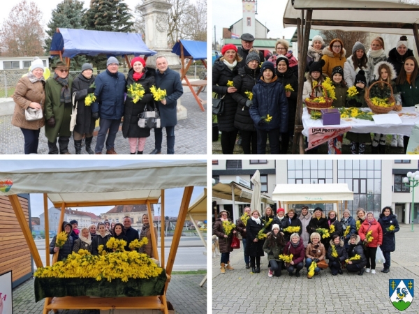 Diljem Županije obilježen 16. Dan mimoza i Nacionalni dan borbe protiv raka vrata maternice